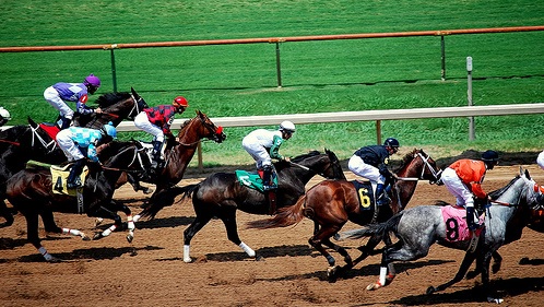Betting apps make horse racing far more exciting