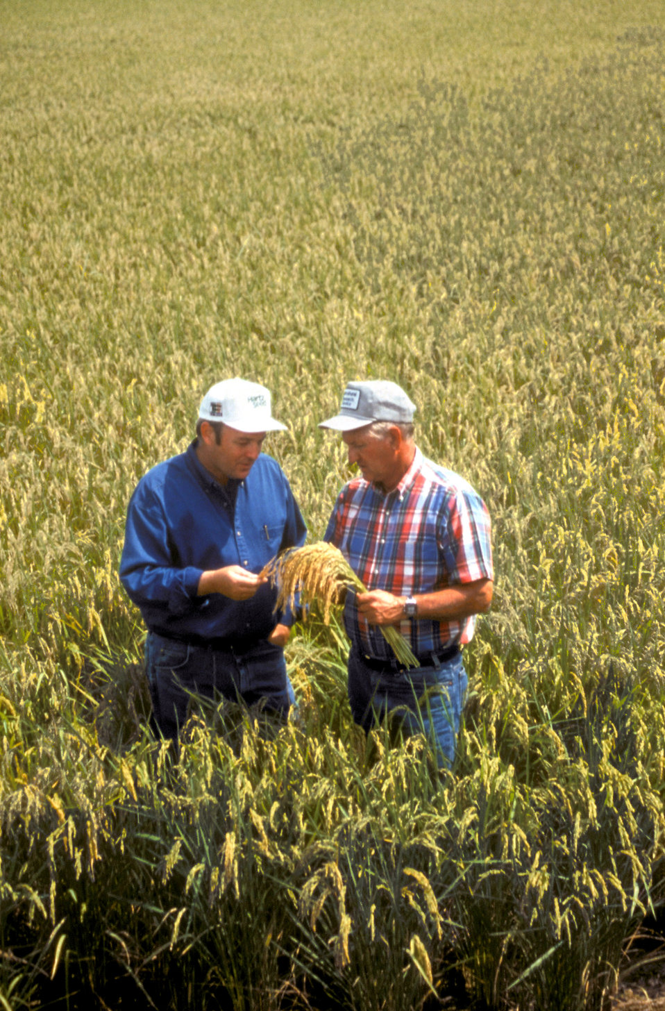 So You Want to Be a Small Farmer? Here is what you need to know... So You Want to Be a Small Farmer? Here is what you need to know...